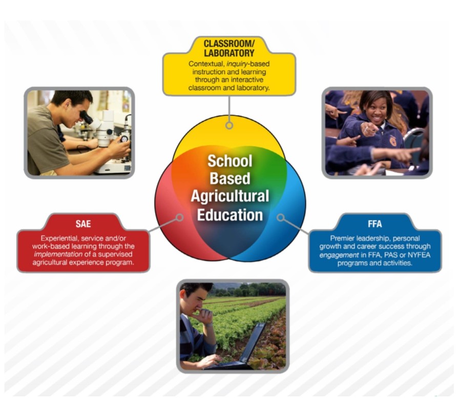 What are three components of agricultural education
